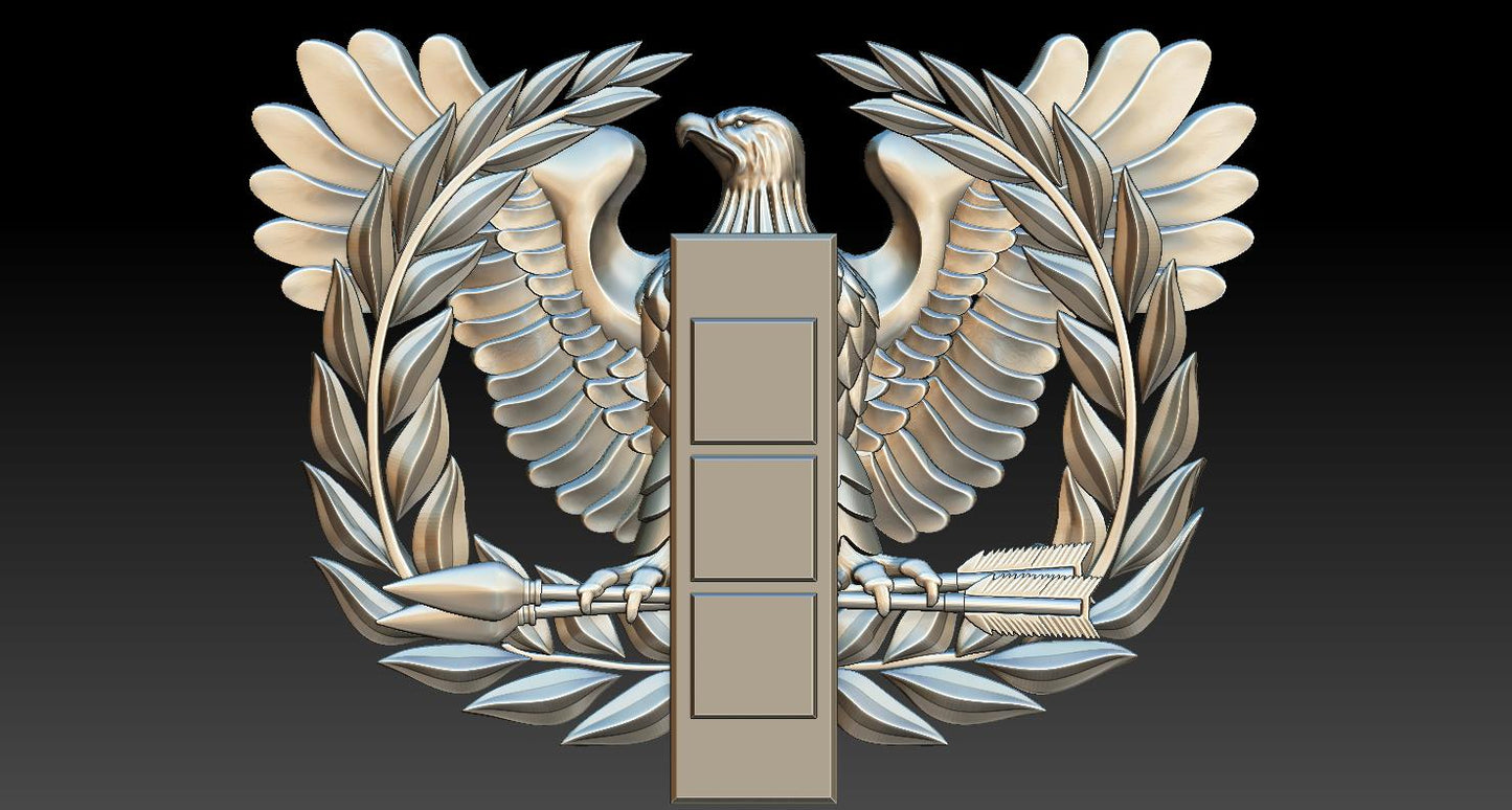 Chief Warrant Officer Stls - with no rank and with CW3