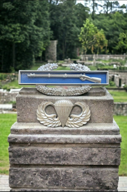 Airborne Wings badge