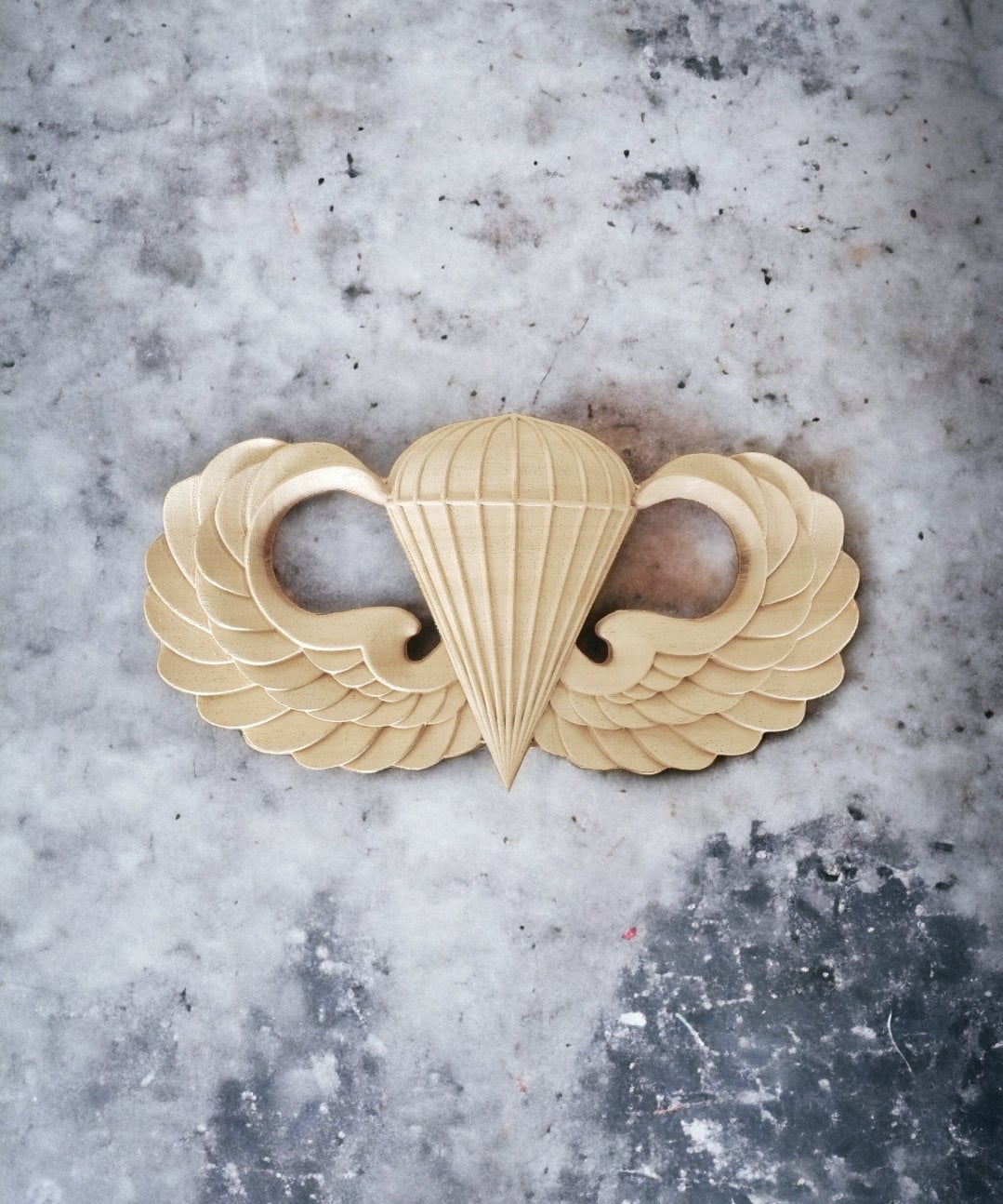 Airborne Wings badge