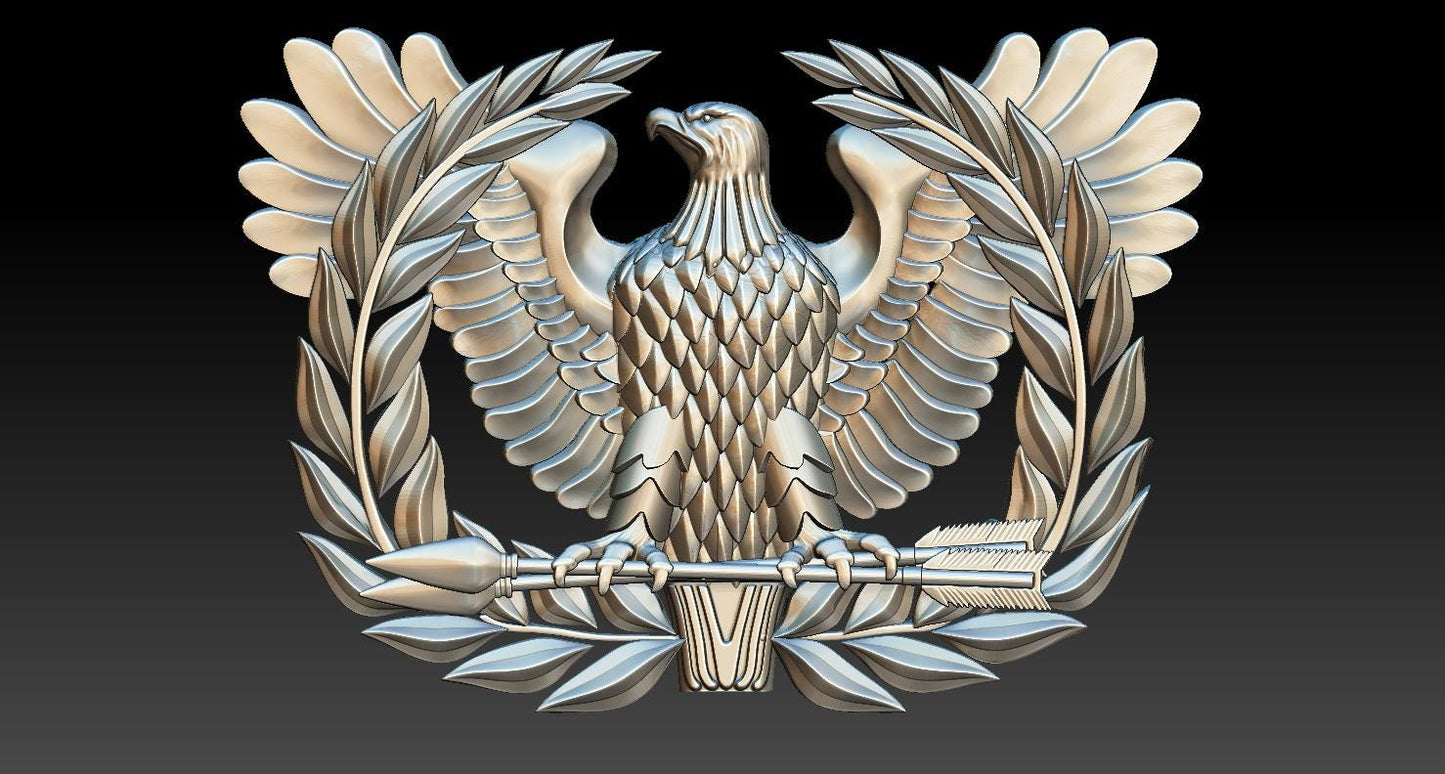 Chief Warrant Officer Stls - with no rank and with CW3